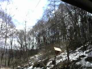長野県菅平高原 ゆたか山荘 温度計 2026/03/31 10:45