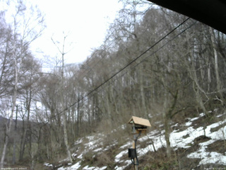 長野県菅平高原 ゆたか山荘 温度計 2026/03/31 12:15