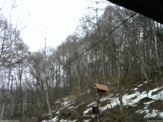 長野県菅平高原 ゆたか山荘 温度計 2026/03/31 13:45