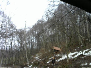 長野県菅平高原 ゆたか山荘 温度計 2026/03/31 16:45