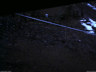 長野県菅平高原 ゆたか山荘 駐車場 2026/03/31 05:30