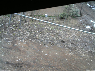 長野県菅平高原 ゆたか山荘 駐車場 2026/03/31 11:00