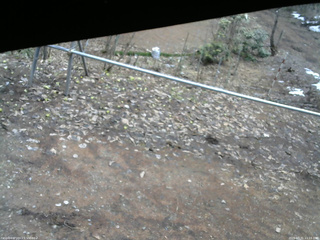 長野県菅平高原 ゆたか山荘 駐車場 2026/03/31 11:15