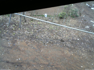 長野県菅平高原 ゆたか山荘 駐車場 2026/03/31 12:00