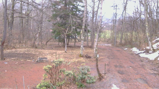 長野県菅平高原 ゆたか山荘 坂上 2026/03/31 08:00