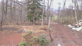長野県菅平高原 ゆたか山荘 坂上 2026/03/31 08:45