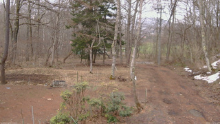 長野県菅平高原 ゆたか山荘 坂上 2026/03/31 12:00