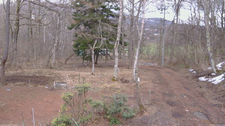 長野県菅平高原 ゆたか山荘 坂上 2026/03/31 13:15