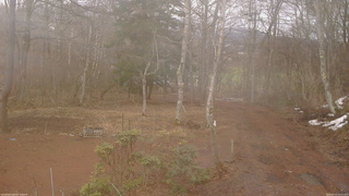 長野県菅平高原 ゆたか山荘 坂上 2026/03/31 14:15