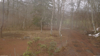 長野県菅平高原 ゆたか山荘 坂上 2026/03/31 14:30