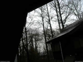 長野県菅平高原 ゆたか山荘 北側 2026/04/01 09:45