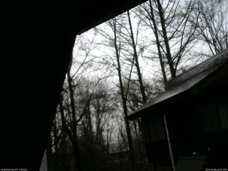 長野県菅平高原 ゆたか山荘 北側 2026/04/01 10:00