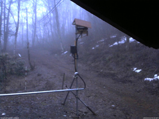 長野県菅平高原 ゆたか山荘 南側 2026/04/01 05:30