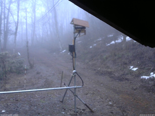 長野県菅平高原 ゆたか山荘 南側 2026/04/01 05:45