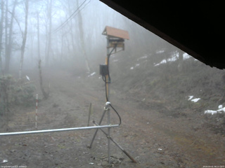 長野県菅平高原 ゆたか山荘 南側 2026/04/01 06:15