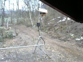 長野県菅平高原 ゆたか山荘 南側 2026/04/01 10:15