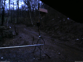 長野県菅平高原 ゆたか山荘 南側 2026/04/01 18:15