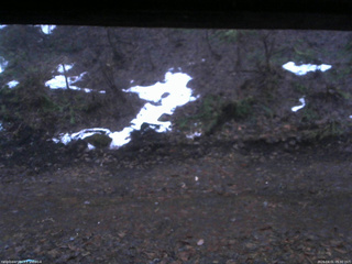 長野県菅平高原 ゆたか山荘 東側(坂下) 2026/04/01 05:30