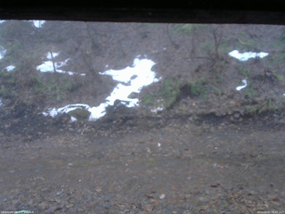 長野県菅平高原 ゆたか山荘 東側(坂下) 2026/04/01 05:45