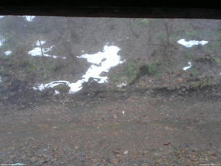 長野県菅平高原 ゆたか山荘 東側(坂下) 2026/04/01 06:00