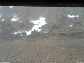 長野県菅平高原 ゆたか山荘 東側(坂下) 2026/04/01 06:45