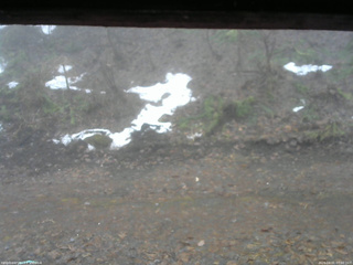 長野県菅平高原 ゆたか山荘 東側(坂下) 2026/04/01 07:00