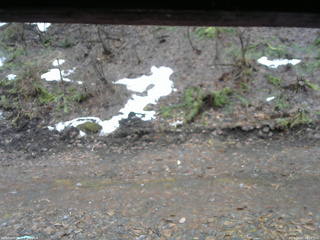 長野県菅平高原 ゆたか山荘 東側(坂下) 2026/04/01 08:30