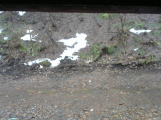 長野県菅平高原 ゆたか山荘 東側(坂下) 2026/04/01 08:45