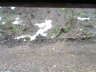 長野県菅平高原 ゆたか山荘 東側(坂下) 2026/04/01 09:00