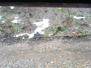 長野県菅平高原 ゆたか山荘 東側(坂下) 2026/04/01 09:15