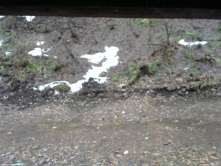 長野県菅平高原 ゆたか山荘 東側(坂下) 2026/04/01 09:30