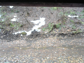 長野県菅平高原 ゆたか山荘 東側(坂下) 2026/04/01 10:00