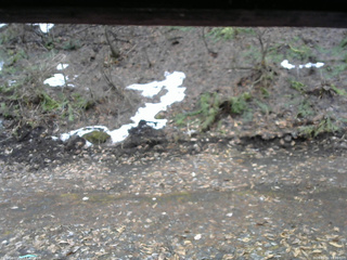 長野県菅平高原 ゆたか山荘 東側(坂下) 2026/04/01 10:30