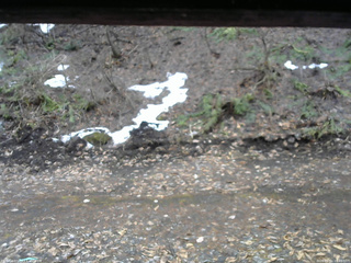 長野県菅平高原 ゆたか山荘 東側(坂下) 2026/04/01 10:45