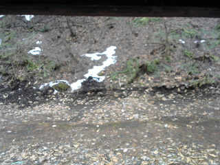 長野県菅平高原 ゆたか山荘 東側(坂下) 2026/04/01 12:30