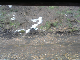 長野県菅平高原 ゆたか山荘 東側(坂下) 2026/04/01 12:45