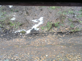 長野県菅平高原 ゆたか山荘 東側(坂下) 2026/04/01 13:15