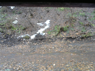 長野県菅平高原 ゆたか山荘 東側(坂下) 2026/04/01 13:30