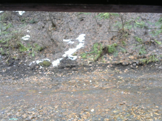 長野県菅平高原 ゆたか山荘 東側(坂下) 2026/04/01 13:45