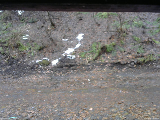 長野県菅平高原 ゆたか山荘 東側(坂下) 2026/04/01 15:15