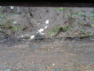 長野県菅平高原 ゆたか山荘 東側(坂下) 2026/04/01 16:00