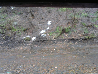 長野県菅平高原 ゆたか山荘 東側(坂下) 2026/04/01 16:30