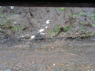 長野県菅平高原 ゆたか山荘 東側(坂下) 2026/04/01 17:00