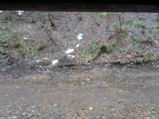 長野県菅平高原 ゆたか山荘 東側(坂下) 2026/04/01 17:15