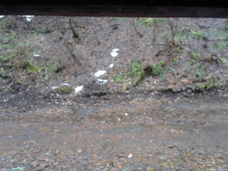 長野県菅平高原 ゆたか山荘 東側(坂下) 2026/04/01 17:30