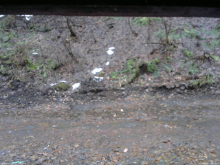 長野県菅平高原 ゆたか山荘 東側(坂下) 2026/04/01 17:45