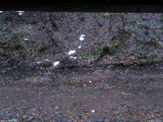 長野県菅平高原 ゆたか山荘 東側(坂下) 2026/04/01 18:00
