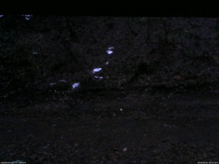 長野県菅平高原 ゆたか山荘 東側(坂下) 2026/04/01 18:15