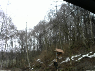 長野県菅平高原 ゆたか山荘 温度計 2026/04/01 09:15