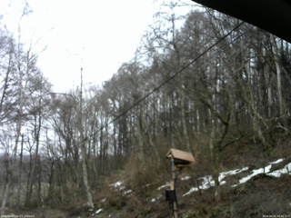 長野県菅平高原 ゆたか山荘 温度計 2026/04/01 09:45